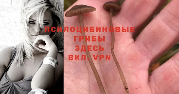 эйфоретик Медвежьегорск