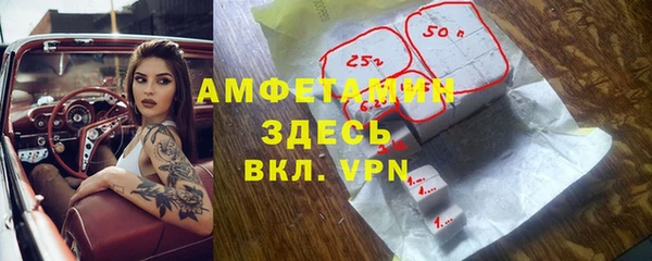 твердый Мегион