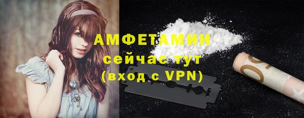 твердый Мегион