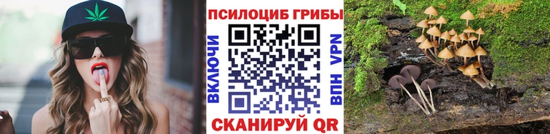 Псилоцибиновые грибы ЛСД  Купить где  Киренск 